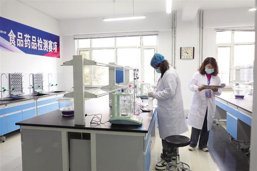 聚英才 展絕活 創(chuàng)未來 信息技術(shù)咨詢服務(wù)的時代價(jià)值